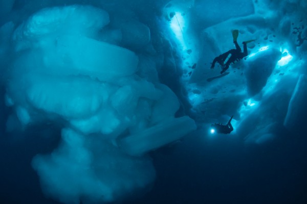 foto-taucher-unterwasserfotografie-groenland-dsc-8110-ft95A72B88-64D3-4929-E430-868F17AEB240.jpg